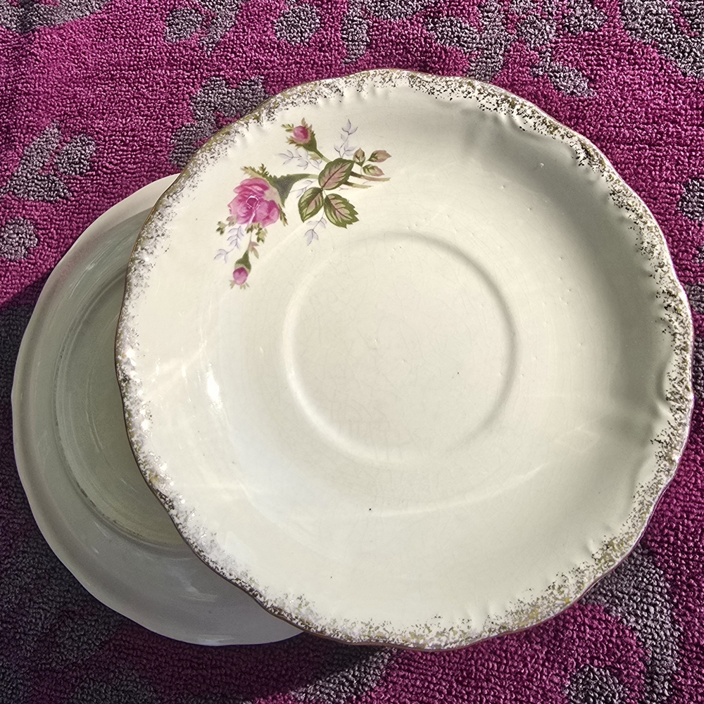 Vintage Floral White Dinner Plates Set Of 2